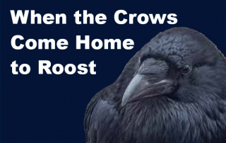 When the crows come home to roost