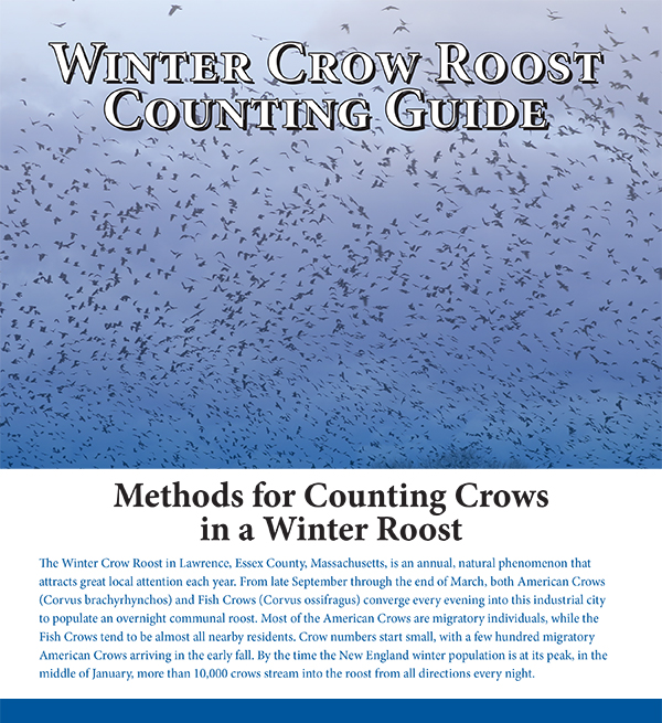 winter crow roost counting guide 2022