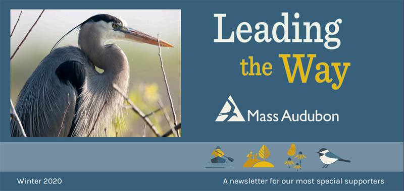 MassAudubon Winter 2020 Newsletter