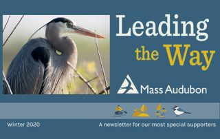 MassAudubon Leading the Way Winter 2020