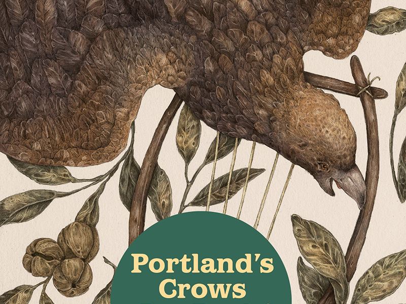 Portland’s Crows Are Back. So Are the LaserGuided Hawks That Scare